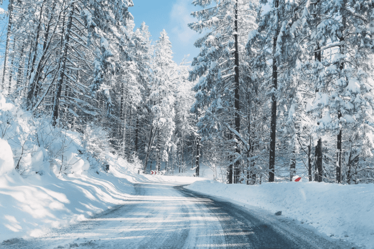 A snow-covered road winds through a forest with tall trees laden in snow, under a clear blue sky. Red and white road signs are visible in the distance.