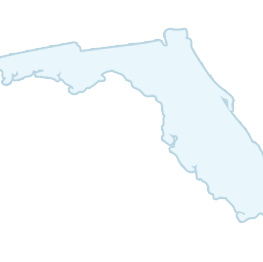 Outline of the state of Florida in light blue, showcasing its distinctive peninsula shape.