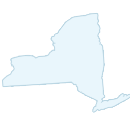 Outline map of the state of New York. The map is shown in light blue.